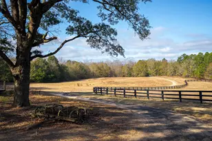 2300 Salley Rd, Salley, SC 29137 - Photo 3