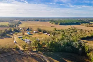 2300 Salley Rd, Salley, SC 29137 - Photo 101