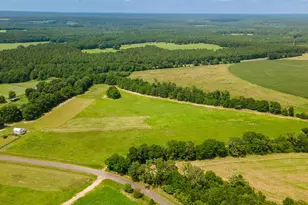 2300 Salley Rd, Salley, SC 29137 - Photo 71