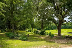 2300 Salley Rd, Salley, SC 29137 - Photo 93