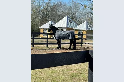 2300 Salley Road, Salley, SC 29137 - Photo 75