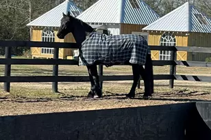 2300 Salley Rd, Salley, SC 29137 - Photo 75