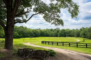 2300 Salley Rd, Salley, SC 29137 - Photo 5