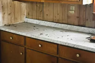 205 Sanders St, Honea Path, SC 29654 - Photo 5