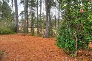 296 Willow Lake Dr, Aiken, SC 29803 - Photo 19