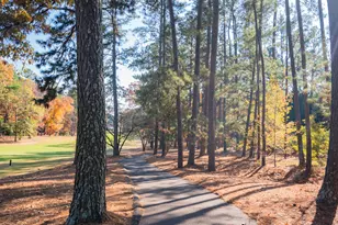 296 Willow Lake Dr, Aiken, SC 29803 - Photo 53