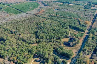 166 Cooper Pond Rd, Salley, SC 29137 - Photo 41