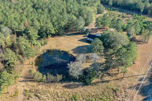 166 Cooper Pond Rd, Salley, SC 29137 - Photo 31