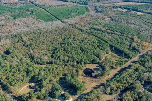 166 Cooper Pond Rd, Salley, SC 29137 - Photo 47