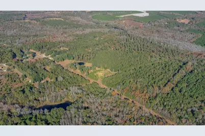 166 Cooper Pond Road, Salley, SC 29137 - Photo 45