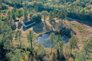 166 Cooper Pond Rd, Salley, SC 29137 - Photo 1