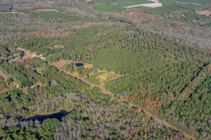 166 Cooper Pond Rd, Salley, SC 29137 - Photo 29