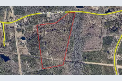 00 Cooper Pond Road, Salley, SC 29137 - Photo 5