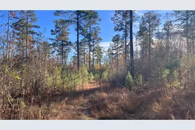 00 Cooper Pond Road, Salley, SC 29137 - Photo 3