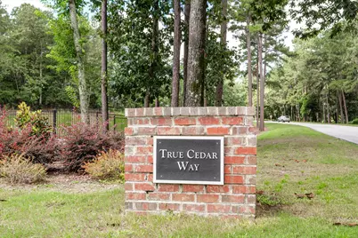 433 True Cedar Way #Lot 12, Aiken, SC 29803 - Photo 55