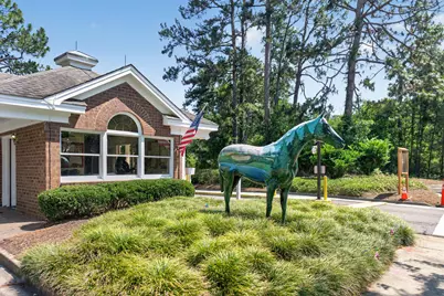 433 True Cedar Way #Lot 12, Aiken, SC 29803 - Photo 43