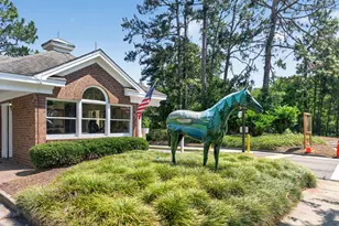 433 True Cedar Wy, Aiken, SC 29803 - Photo 43