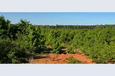 19A Bowie Road, Troy, SC 29848 - Photo 5