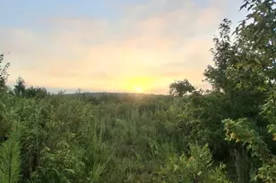 19A Bowie Rd, Troy, SC 29848 - Photo 1