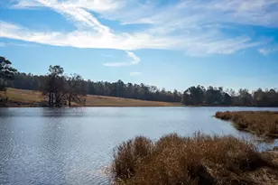 5180 Farmstead Dr, Aiken, SC 29803 - Photo 89