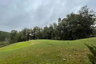 3 Water Oak Ct, Aiken, SC 29803 - Photo 59