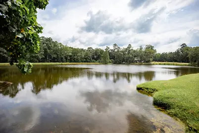 35 Lake Margaret Drive, Denmark, SC 29042 - Photo 25