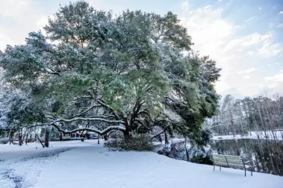 4446 Char Augusta Road, Bamberg, SC 29003 - Photo 41
