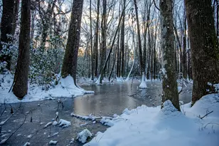 4446 Char-Augusta Rd, Bamberg, SC 29003 - Photo 43