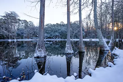 4446 Char Augusta Road, Bamberg, SC 29003 - Photo 45