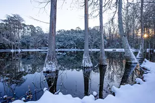 4446 Char-Augusta Rd, Bamberg, SC 29003 - Photo 45