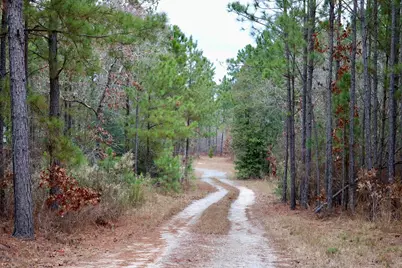 1661 Old Shoals Road, Monetta, SC 29105 - Photo 33