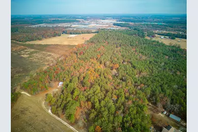 0 Windy Ridge Road, Trenton, SC 29847 - Photo 13
