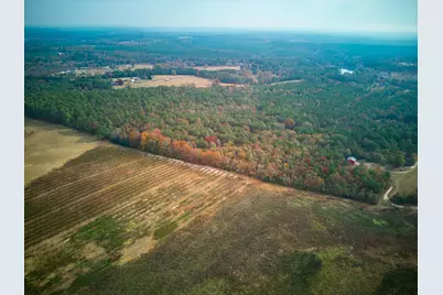 0 Windy Ridge Road, Trenton, SC 29847 - Photo 15