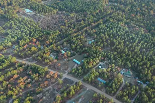 617 Pine Grove Rd, Batesburg-Leesville, SC 29070 - Photo 19