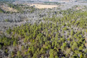 1424 Hatchaway Bridge Rd, Aiken, SC 29801 - Photo 5