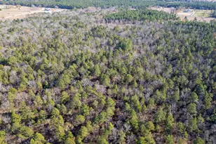 1424 Hatchaway Bridge Rd, Aiken, SC 29801 - Photo 3