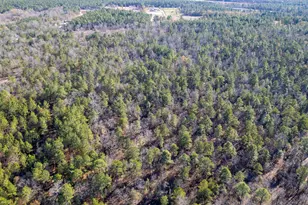 1424 Hatchaway Bridge Rd, Aiken, SC 29801 - Photo 9