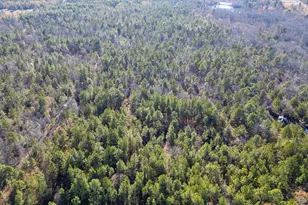 1424 Hatchaway Bridge Rd, Aiken, SC 29801 - Photo 7