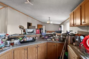 385 Gunter Pond Rd, Wagener, SC 29164 - Photo 3