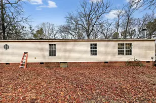 385 Gunter Pond Rd, Wagener, SC 29164 - Photo 27