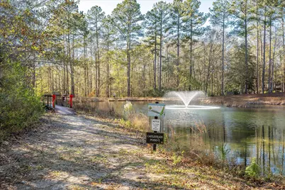 7115 Castlesteads Drive, Aiken, SC 29803 - Photo 51