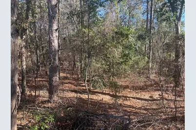 000 Fairway Drive, New Ellenton, SC 29809 - Photo 3