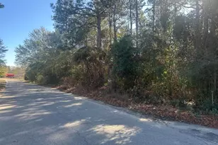 000 Fairway Dr, New Ellenton, SC 29809 - Photo 1