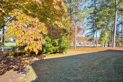 120 Bald Cypress Court, Aiken, SC 29803 - Photo 49