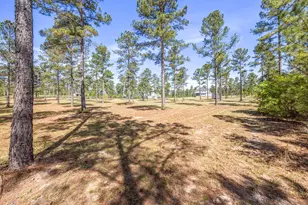 154 Hurlingham Dr, Aiken, SC 29801 - Photo 53