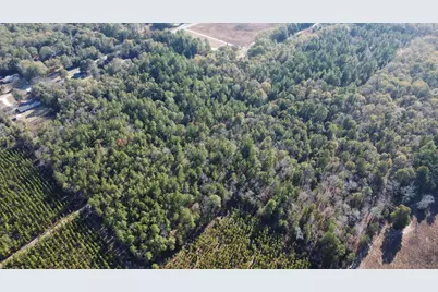 00 Jeffcoat Road, Wagener, SC 29164 - Photo 5