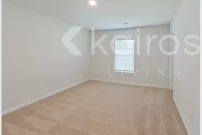 354 Common Reed Drive, Gilbert, SC 29054 - Photo 19