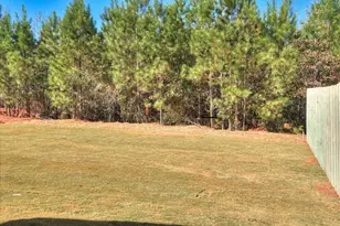 960 Speckled Teal, Aiken, SC 29803 - Photo 35