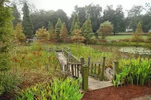 280 Balbriggan Pl, Aiken, SC 29801 - Photo 45