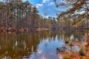 3070 Hackamore Dr, Warrenville, SC 29851 - Photo 39